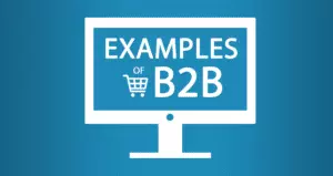 How B2B Ecommerce Meets Complex Needs of Legacy Businesses