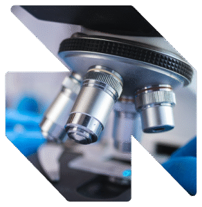 Custom Digital Solutions for Biopharma
